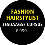 Fashion Harstylist, zesdaagse cursus: � 999,-